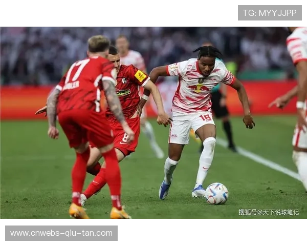 暴风雪“埃莉”袭击德国北部，德甲两场比赛被迫延期